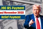 IRS Payment